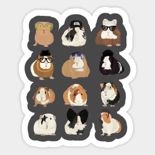 Rock Guinea Pig Sticker